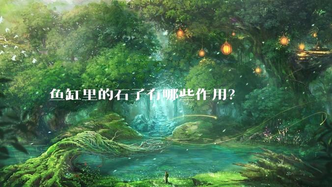 鱼缸里的石子有哪些作用？