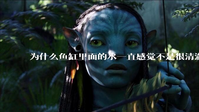 为什么鱼缸里面的水一直感觉不是很清澈呢？